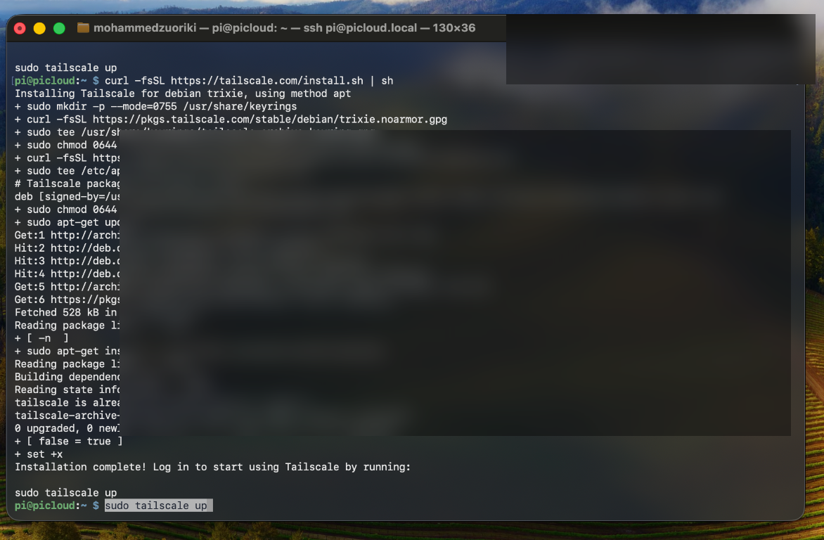 Tailscale dashboard screenshot showing the Raspberry Pi node as connected